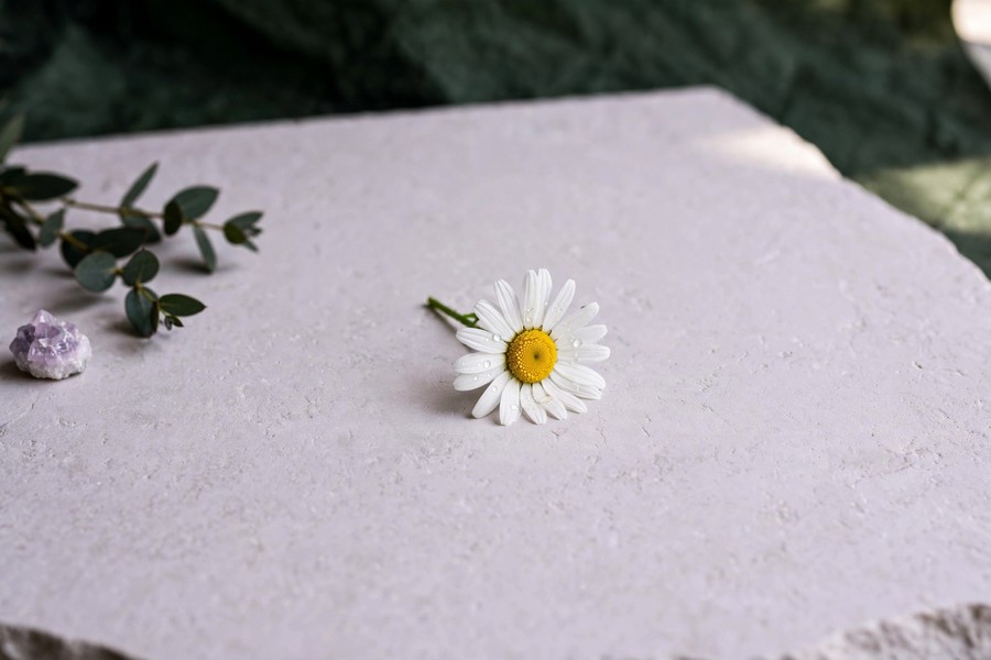 Audience — floral still life